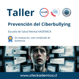 Prevencion del Ciberbullying
