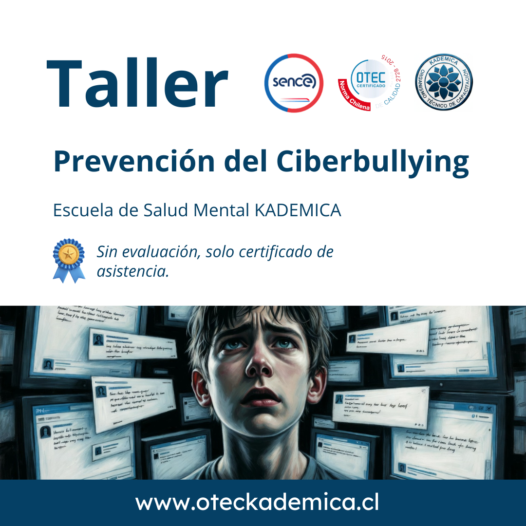 Talleres 8 Prevencion del Ciberbullying